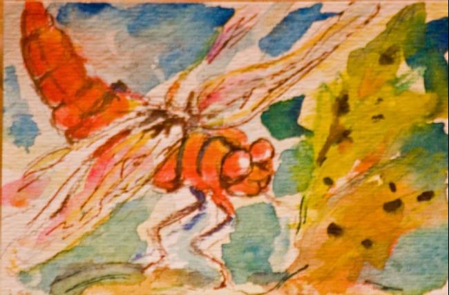 Art: Dragonfly Aceo by Artist Delilah Smith
