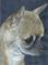 Art: CHIHUAHUA SOLD by Artist Kimbearly's Originals