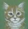 Art: Tabby Cat SOLD by Artist Kimbearly's Originals