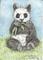 Art: Panda Bear SOLD by Artist Kimbearly's Originals