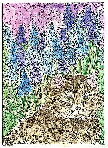 Art: MAINE COON KITTY AND MUSCARI by Artist Theodora Demetriades
