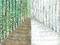 Art: Summer/winter  by Artist Nata ArtistaDonna