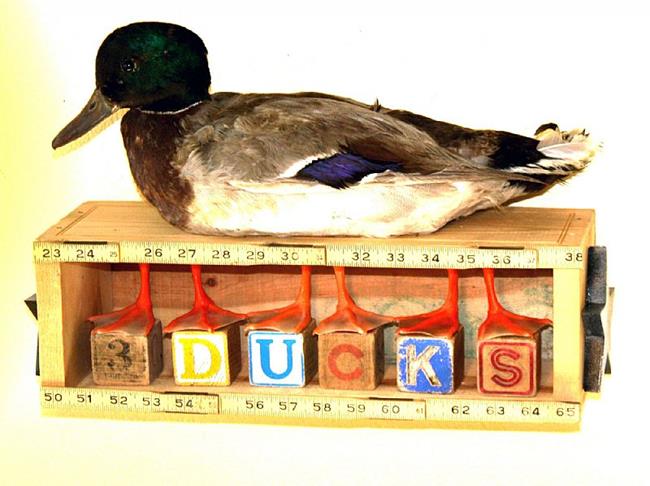 Art: duck feet by Artist Claudia Roulier