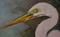 Art: ACEO Egret Print by Artist Barbara Haviland