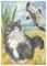 Art: 'TUXEDO KITTY BEING BOMBARDED BY A GULL by Artist Theodora Demetriades 
