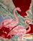 Art: Pink Flamingos by Artist Diane Millsap