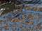 Art: Stone Walls in Field by Artist Deanne Flouton