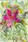 Art: ABSTRACT FLORAL # 21 - sold by Artist Ulrike 'Ricky' Martin