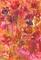 Art: ABSTRACT FLORAL by Artist Ulrike 'Ricky' Martin