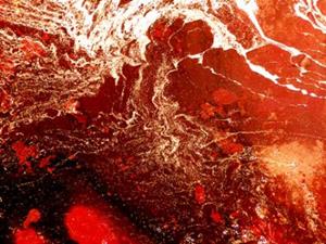 Detail Image for art Red and Copper Abstract