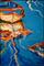 Art: ABSTRACT BOAT II by Artist Marcia Baldwin
