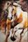 Art: MUSTANG WILD POWER by Artist Marcia Baldwin