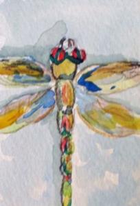 Detail Image for art Dragonfly aceo no.4
