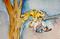 Art: Fat Cat in a Tree by Artist Delilah Smith