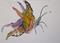 Art: The Butterfly Aceo by Artist Delilah Smith