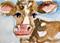 Art: Big Ear Cow Aceo by Artist Delilah Smith