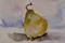 Art: Pear Aceo by Artist Delilah Smith