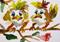 Art: Sad Birds No.7-sold by Artist Delilah Smith