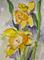 Art: Daffodils Aceo by Artist Delilah Smith
