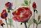 Art: Rose Aceo by Artist Delilah Smith