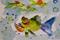 Art: Looking for Lunch Aceo by Artist Delilah Smith