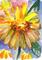 Art: Big Daisy Aceo-sold by Artist Delilah Smith