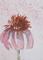 Art: Pink Flower by Artist Delilah Smith