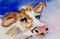 Art: Cow Aceo-sold by Artist Delilah Smith