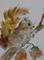 Art: Squirrel Aceo by Artist Delilah Smith