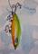 Art: Green Fishing Lure-sold by Artist Delilah Smith