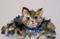 Art: Gray Fat Cat Aceo-sold by Artist Delilah Smith