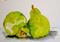 Art: Pears by Artist Delilah Smith
