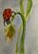 Art: Lady Bug and Grass Aceo by Artist Delilah Smith
