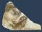 Art: Head of a Virgin II on Marble by Artist Alma Lee