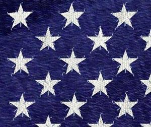 Detail Image for art Sewn Flag
