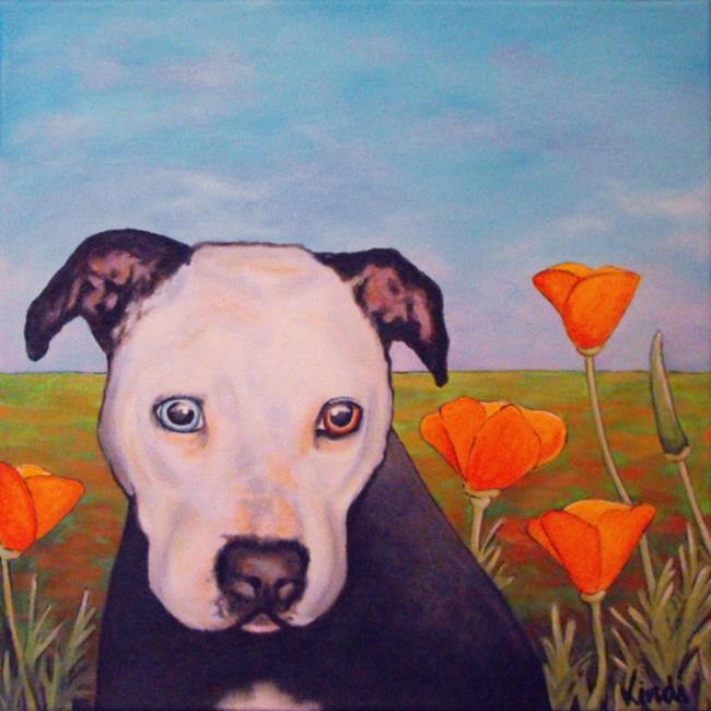 Art: Pibble in the Poppies by Artist Lindi Levison