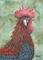 Art: Rooster Impression 1 by Artist Melinda Dalke