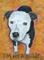 Art: I'm Not A Bully by Artist Lindi Levison