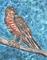 Art: Hawk Impression by Artist Melinda Dalke