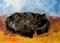 Art: black-cat (800x569).jpg by Artist Delilah Smith