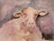 Art: Irish Sheep by Artist Delilah Smith