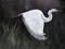 Art: Egret in Flight by Artist Barbara Haviland