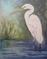 Art: Snowy Egret II   by Artist Barbara Haviland