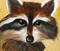 Art: Rocky Raccoon by Artist Barbara Haviland