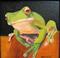 Art: Green Frog What?? by Barbara Haviland  SOLD by Artist Barbara Haviland