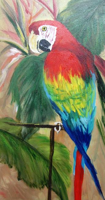 Art: Red Macaw Parrot by Artist Barbara Haviland