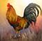 Art: Fanciful Rooster by Artist Barbara Haviland