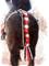 Art: Red and White Horse Tail by Artist Deanne Flouton