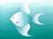 Art: Angel Fish by Artist Hiroko Reaney