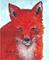 Art: Red Fox Portrait by Artist Ulrike 'Ricky' Martin